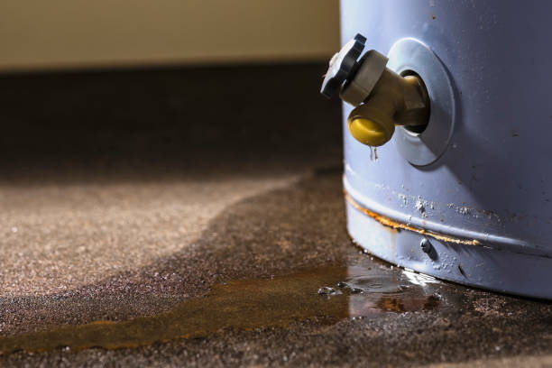 Best Water damage restoration near me  in Meridian, PA
