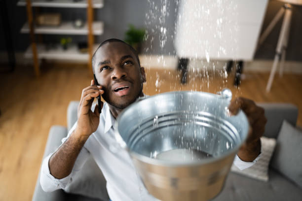 Best Basement water damage restoration  in Meridian, PA