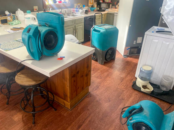 Best 24/7 water damage repair  in Meridian, PA