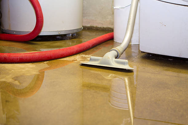 Best Flooded house restoration  in Meridian, PA